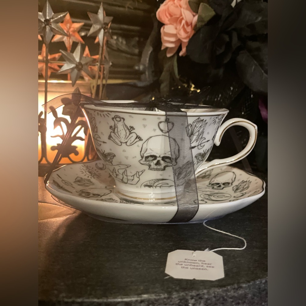 PARK CHATEAU NEW Mystical Moon Magical Skull Crystals Witchy Teacup & Saucer Set